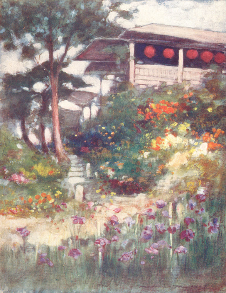 JAPAN. An Iris garden 1904 old antique vintage print picture
